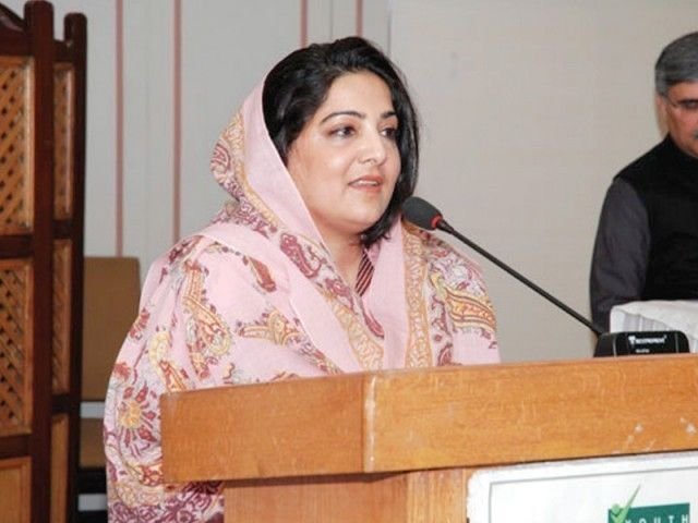 Anusha Rehman Pakistan telecom minister