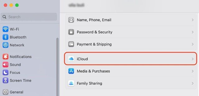 select name and click on iCloud tab