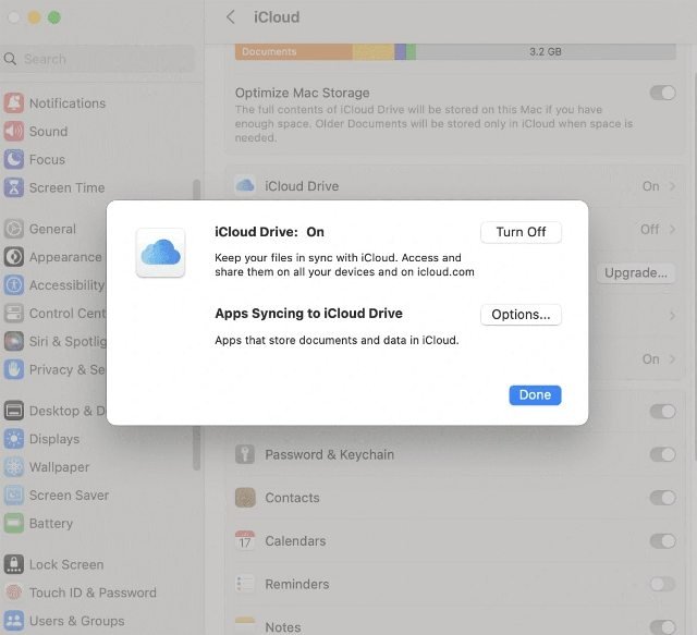 turn on iCloud Drive and tick all checkmarks